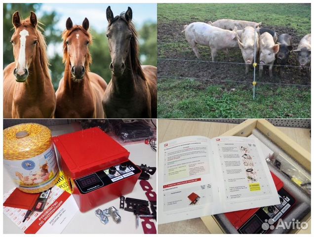 Электропастух