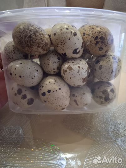 Яйца перепелиные,куриные