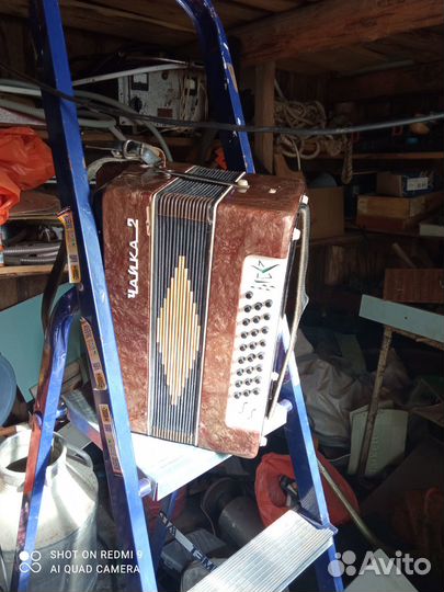 Гармонь шуйская чайка