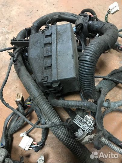 Проводка двс Nissan Primera TP12 QR20DE 2002