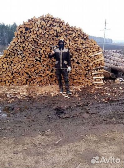 Дрова береза