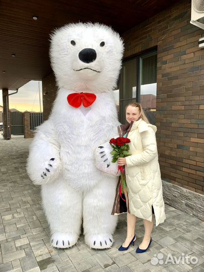 Мишка во фраке