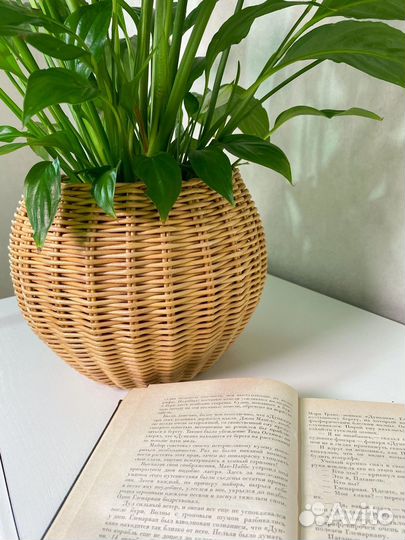 Кашпо для цветов