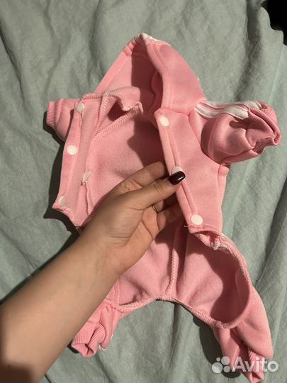 Одежда для животных