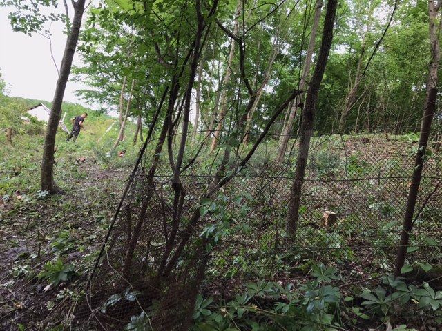 Участок 5,6 сот. (СНТ, ДНП)