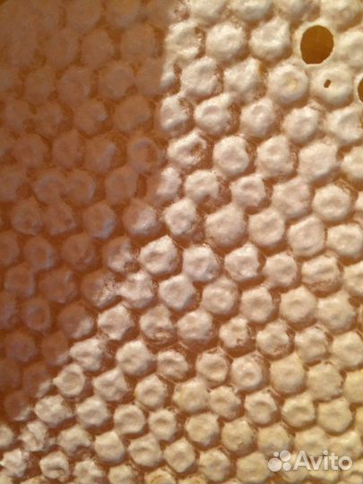 Мёд пчелиный