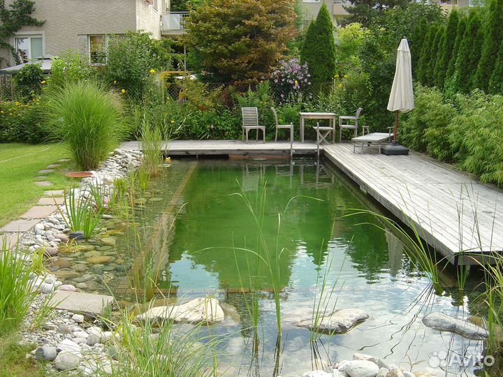 Готовый бизнес. Разведение радужной форели