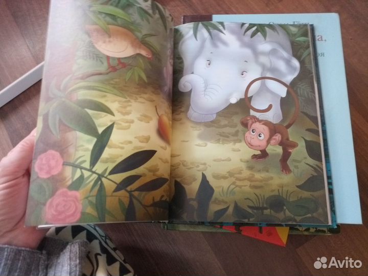 Книга 