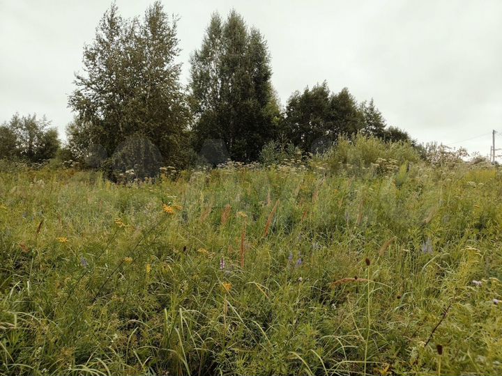 Участок 11,7 сот. (ИЖС)