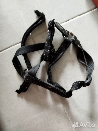 Ошейники, шлейки, поводки, рулетка