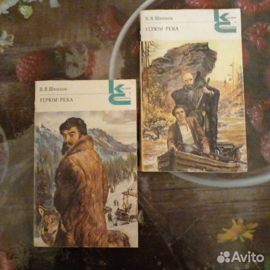 Книга 2 тома