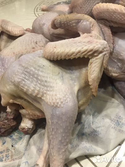 Деревенские курочки на мясо