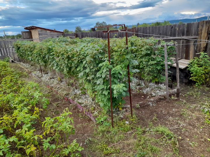 Дача 40 м² на участке 10 сот.