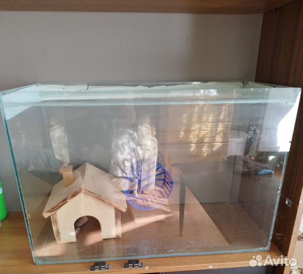Аквариум