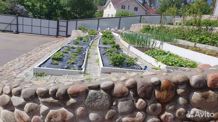 Благоустройство / Озеленение / Cпил деревьев