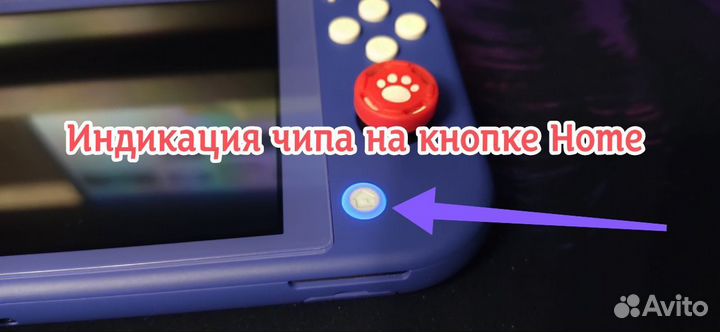Nintendo switch lite прошитая 256gb + мод