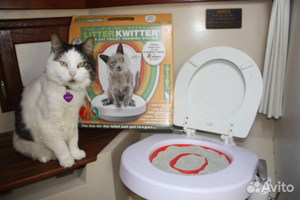 Система приучения кошек к туалету