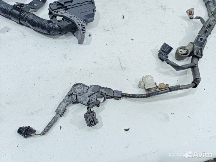 Проводка двигателя Lexus Es250 XV60 2AR-FE 2.5 Л