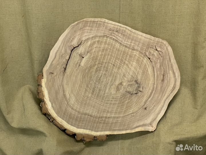 Спил карагача