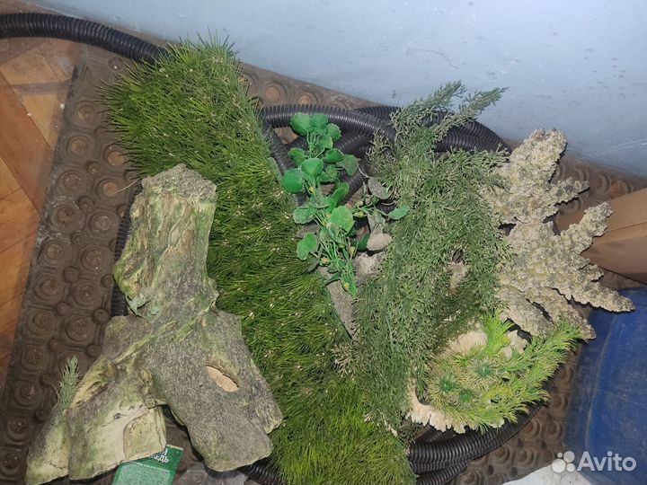 Аквариум 280л с оборудованием