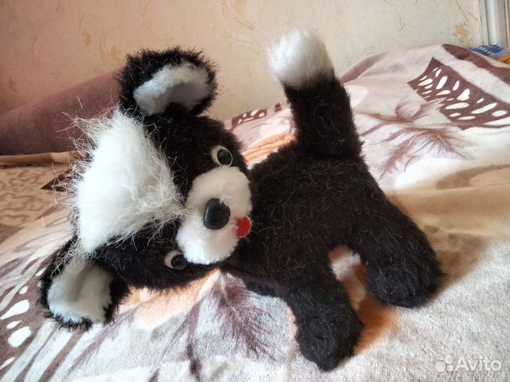 Кот СССР