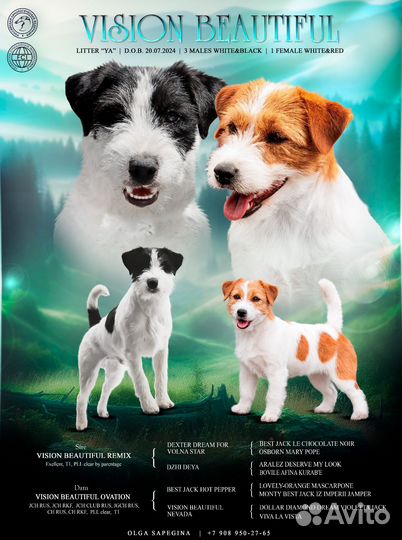 Шикарный мальчишка