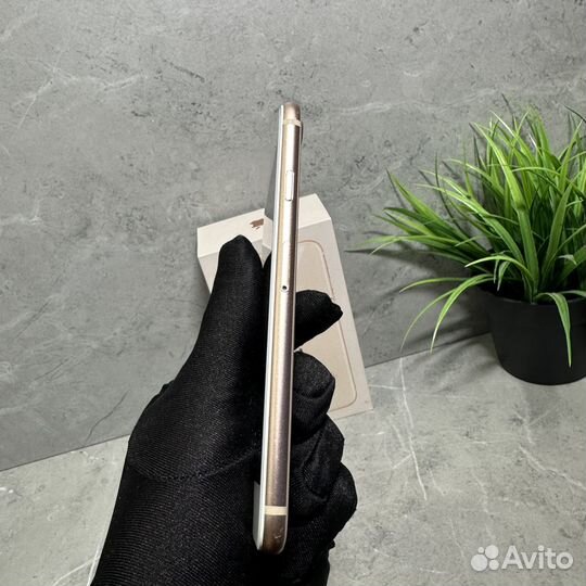 iPhone 8, 64 ГБ