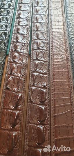 Ременные заготовки из кожи крокодила