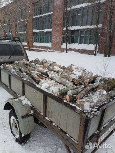 Дрова не колотые дуб