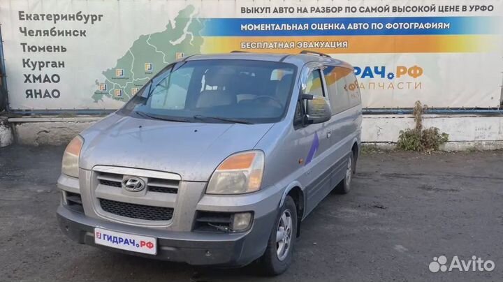 Накладка решетки радиатора левая Hyundai Starex (A1) 86566-4A400