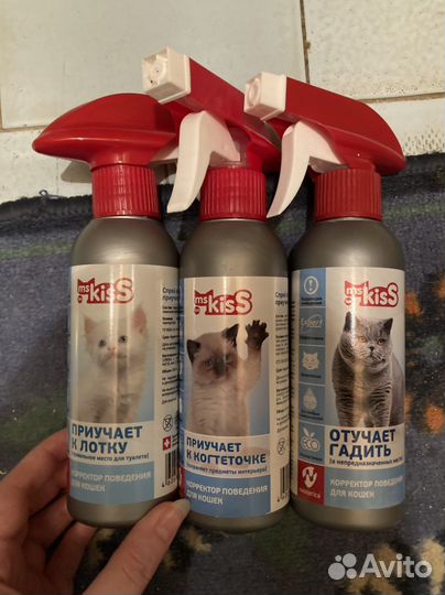 Красивый котик