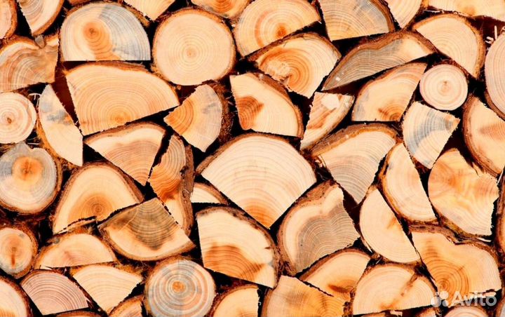 Дрова точного размера
