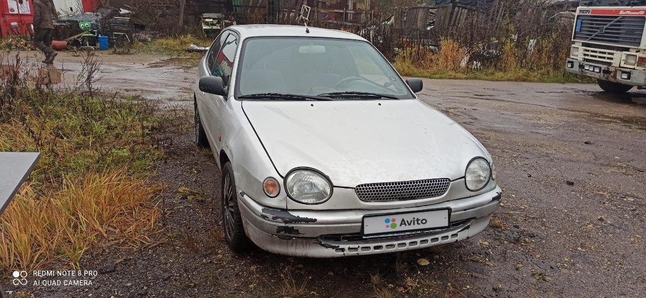 Toyota Corolla: фото владельца