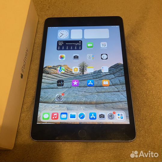 iPad mini 4 space gray