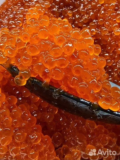 Красная икра оптом