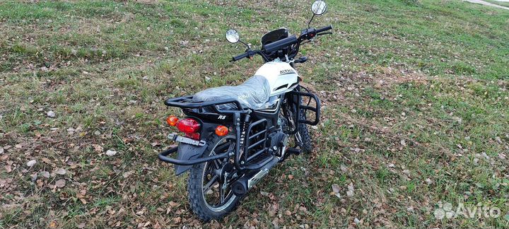 Аlpна fоrеstеr RS 11