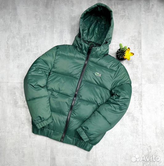 Зимние куртки Lacoste Premium