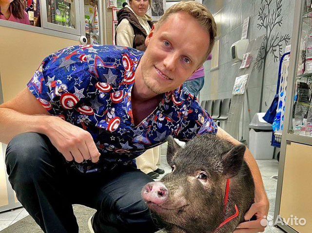 Ветеринар на дом