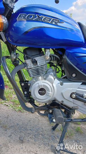 Bajaj Boxer 150 BM