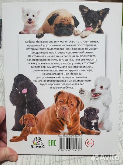 Детская энциклопедия. Собаки