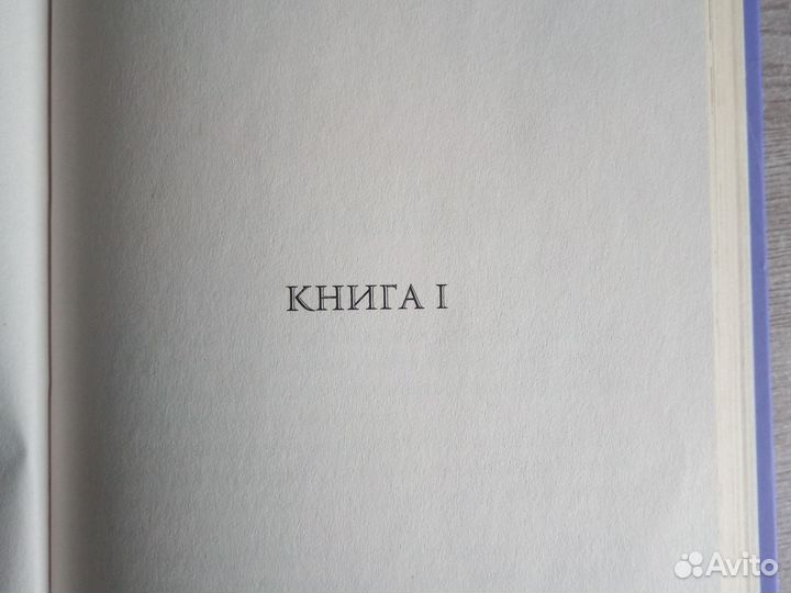 Медина мирай 
