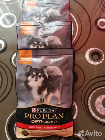 Корм для собак