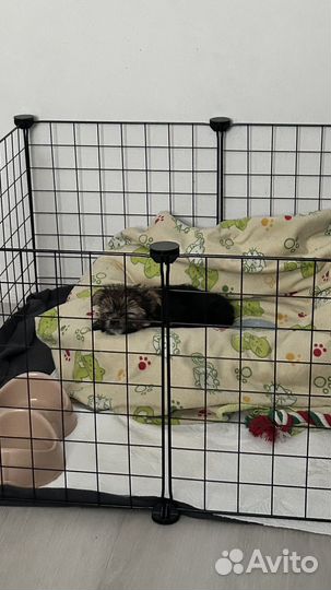 Вольер для щенков в квартиру