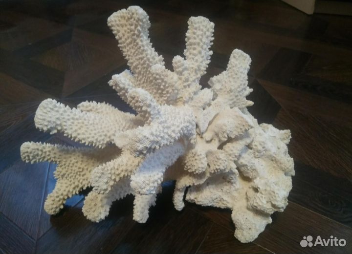 Аквариумные рыбки, аквариумы, фильтры, растения