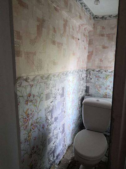 Дом 53,1 м² на участке 6,7 сот.