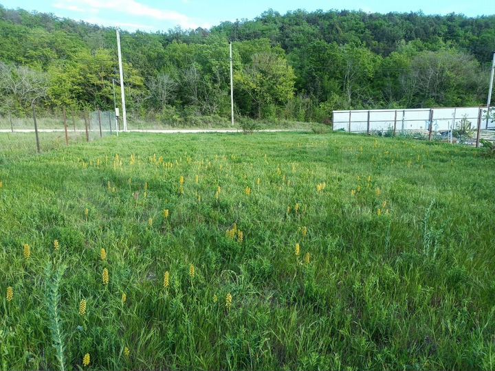 Участок 7 сот. (СНТ, ДНП)