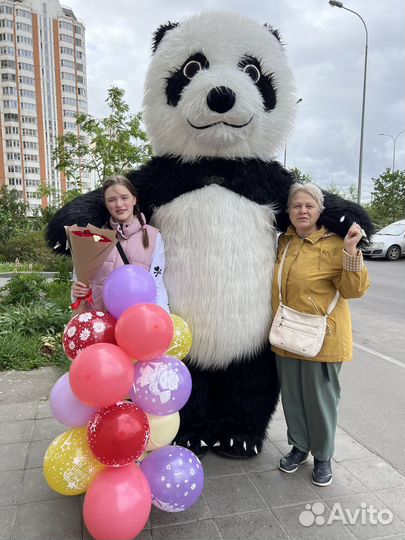 Поздравление от Панды; Медведя белого