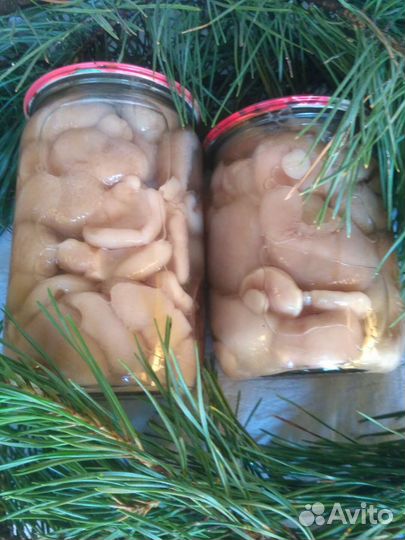 Грибы в ассортименте белый, маслёнок