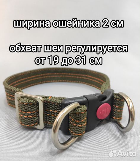 Ошейник для собак от Bax Dog