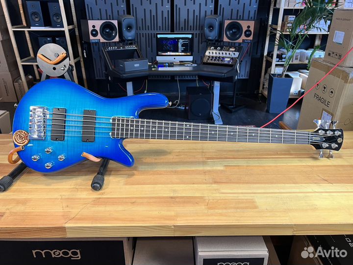 Spector Legend Standard 5 LG5stbls blue stain